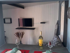 Pavillon climatisé 2 étoiles avec piscine, proche plage, 2 chambres, terrasse ombragée, parking inclus - FR-1-732-28